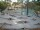 Webcam in Punta Cana, 239.4 km