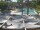 Webcam in Punta Cana, 0.2 km