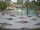 Webcam in Punta Cana, 3 mi away