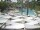 Webcam in Punta Cana, 240.5 km entfernt