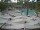 Webcam in Punta Cana, 21.2 km