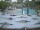 Webcam in Punta Cana, 155.4 km