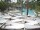 Webcam in Punta Cana, 7.7 km