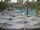 Webcam in Punta Cana, 240.3 km