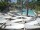 Webcam in Punta Cana, 244.5 km
