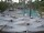 Webcam in Punta Cana, 21.8 mi away