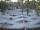 Webcam in Punta Cana, 339.1 km entfernt