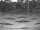 Webcam in Punta Cana, 20.2 km