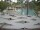 Webcam in Punta Cana, 240 km