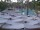 Webcam in Punta Cana, 43.6 mi away