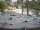 Webcam in Punta Cana, 123.5 mi away