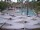Webcam in Punta Cana, 136.4 km