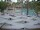Webcam in Punta Cana, 138.5 km