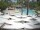 Webcam in Punta Cana, 0.2 km