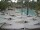 Webcam in Punta Cana, 7.7 km