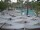 Webcam in Punta Cana, 92.7 mi away