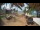Webcam in Cabarete, 92.3 mi away