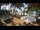 Webcam in Cabarete, 40 mi away