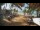 Webcam in Cabarete, 113.2 mi away