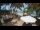 Webcam in Cabarete, 92.3 mi away