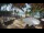 Webcam in Cabarete, 239.4 km