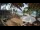 Webcam in Cabarete, 92.3 mi away