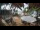 Webcam in Cabarete, 151.9 km