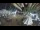 Webcam in Cabarete, 0.5 km entfernt