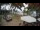 Webcam in Cabarete, 7.4 mi away