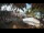 Webcam in Cabarete, 0.5 km entfernt