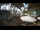 Webcam in Cabarete, 126.6 km