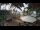 Webcam in Cabarete, 100.9 km