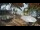 Webcam in Cabarete, 239.4 km