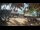 Webcam in Cabarete, 701.6 km