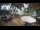 Webcam in Cabarete, 151.9 km