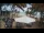 Webcam in Cabarete, 239.4 km entfernt