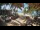 Webcam in Cabarete, 86.9 mi away