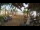 Webcam in Cabarete, 85.4 km