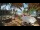 Webcam in Cabarete, 40 mi away