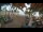 Webcam in Cabarete, 230.5 km entfernt