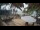 Webcam in Cabarete, 7.4 mi away