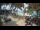 Webcam in Cabarete, 1 km entfernt