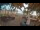 Webcam in Cabarete, 86.9 mi away