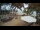 Webcam in Cabarete, 40 mi away