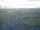 Webcam in Haßfurt, 4.7 mi away