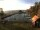 Webcam in Born auf Darß, 57.4 km
