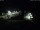 Webcam in Born auf Darß, 14.9 km