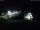 Webcam in Born auf Darß, 14.9 km