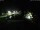 Webcam in Born auf Darß, 2.9 mi away