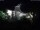 Webcam in Born auf Darß, 14.9 km